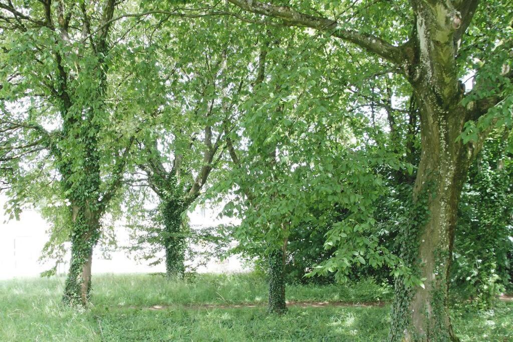 Cotswold Gem Apartman Upper Rissington Kültér fotó